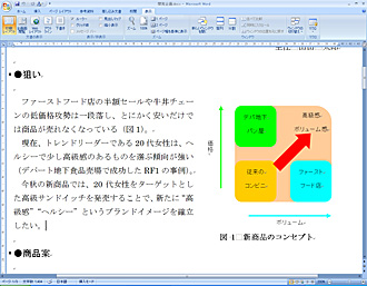 MicrosoftWord 2007