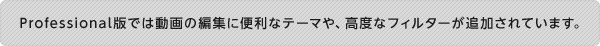 Professional版では動画の編集に便利なテーマや、 高度なフィルターが追加されています。