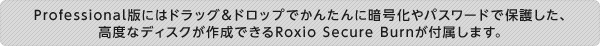 Professional版にはドラッグ＆ドロップでかんたんに暗号化やパスワードで保護した、 高度なディスクが作成できるRoxio Secure Burnが付属します。