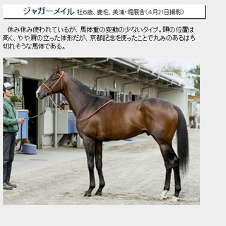 フォトパドック連動