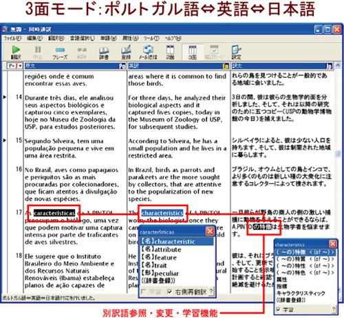 3面モード：ポルトガル語⇔英語⇔日本語